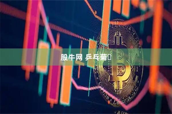 股牛网 乒乓菊‌
